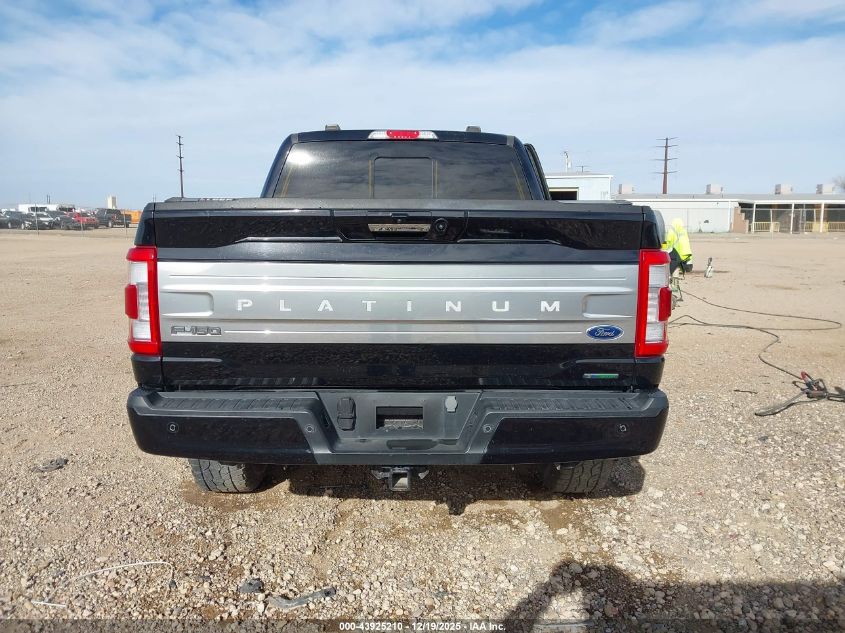 2023 Ford F-150 Platinum VIN: 1FTFW1E83PFB29998 Lot: 43925210