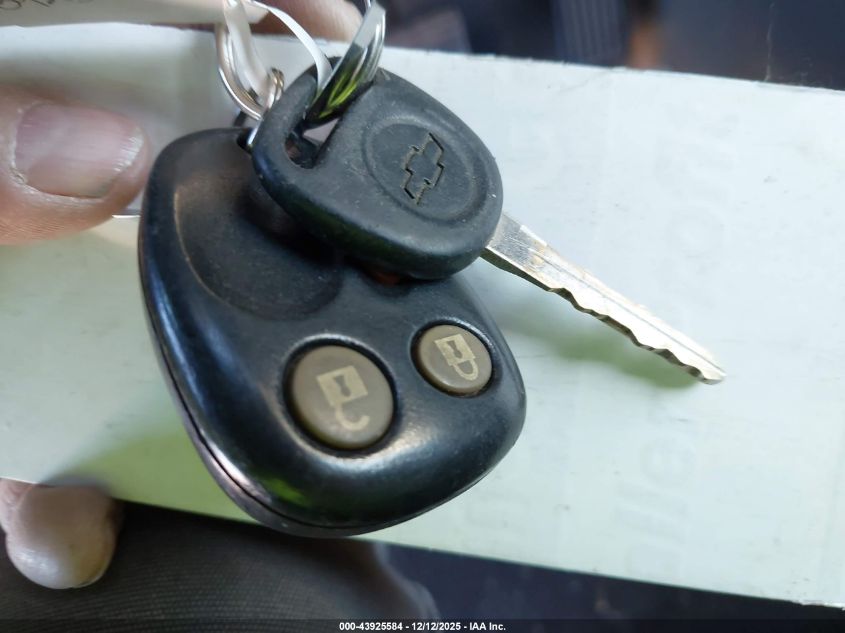 2004 Chevrolet Avalanche 1500 VIN: 3GNEK12TX4G165723 Lot: 43925584