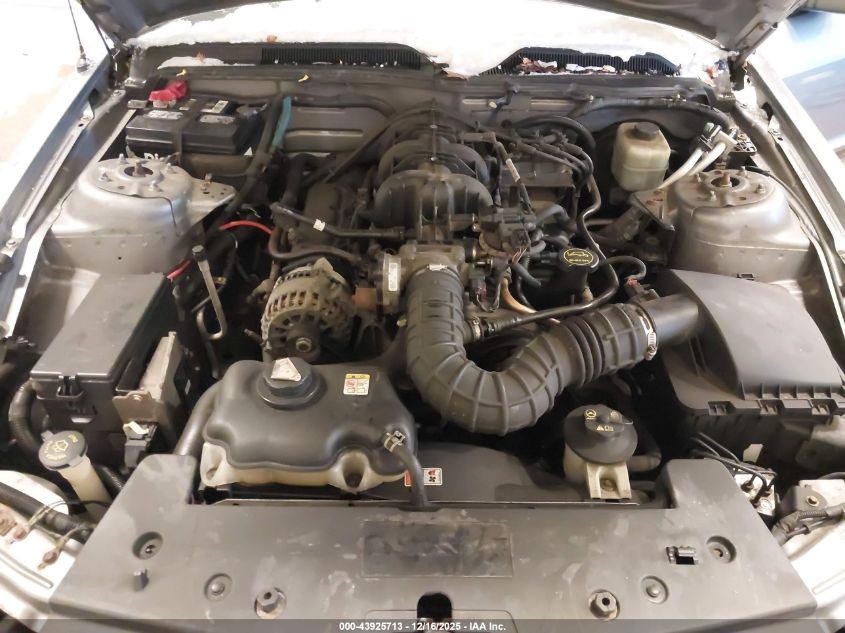 2006 Ford Mustang V6 VIN: 1ZVFT80N065167480 Lot: 43925713