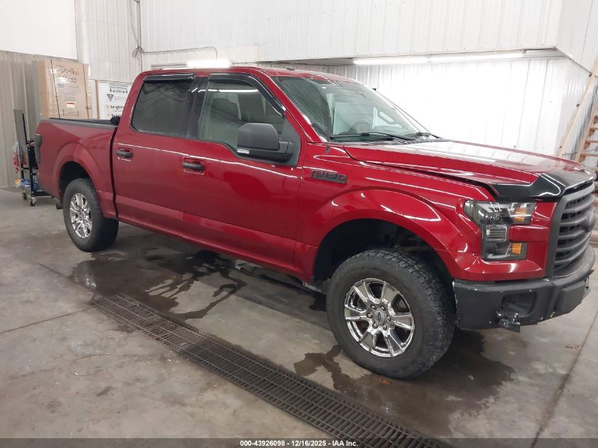 2015 Ford F-150 Xlt VIN: 1FTEW1EP5FFB71803 Lot: 43926098