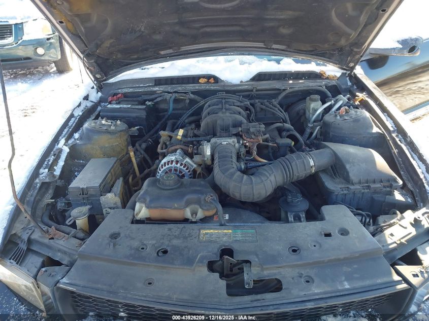 2009 Ford Mustang V6/V6 Premium VIN: 1ZVHT84NX95126684 Lot: 43926209