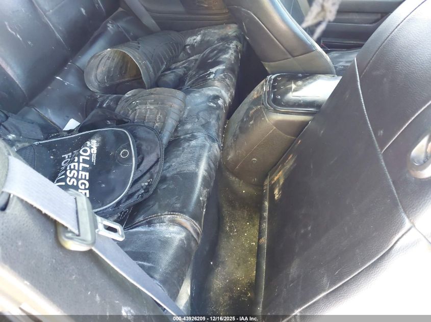 2009 Ford Mustang V6/V6 Premium VIN: 1ZVHT84NX95126684 Lot: 43926209