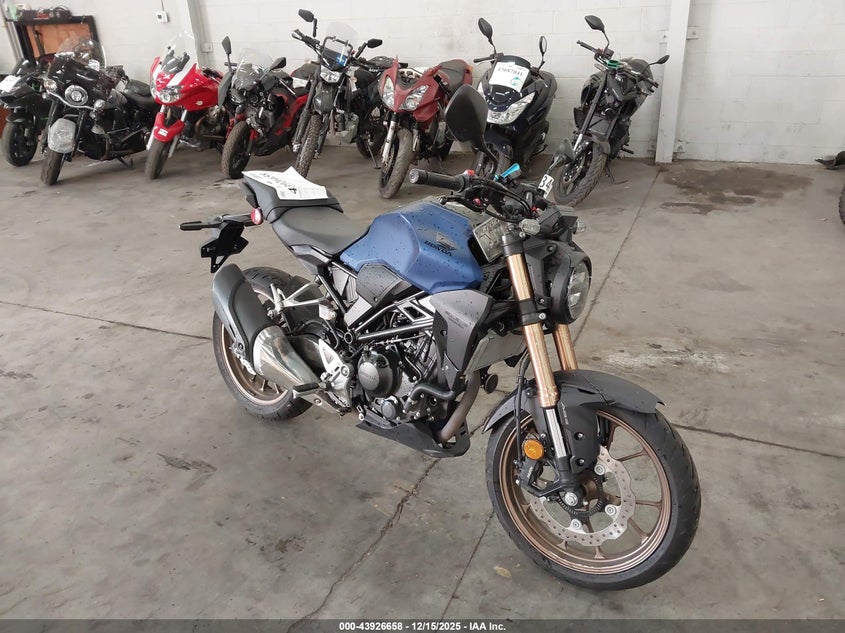 MLHNC5552M5100248 HONDA CBF300 Photo 1