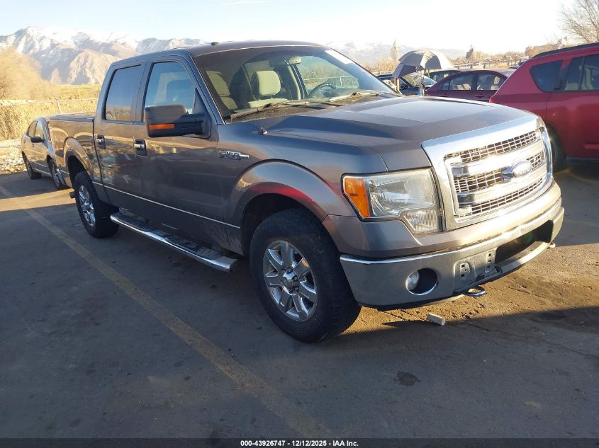 FORD F-150 XLT