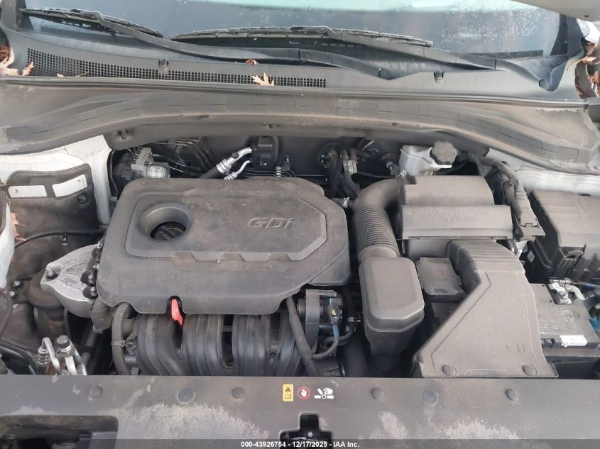 2020 Hyundai Santa Fe Limited VIN: 5NMS5CAD8LH220133 Lot: 43926754