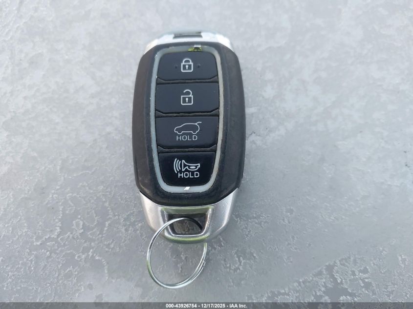 2020 Hyundai Santa Fe Limited VIN: 5NMS5CAD8LH220133 Lot: 43926754