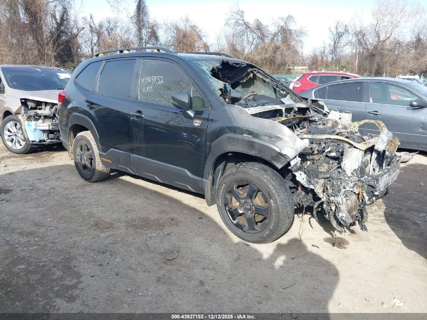 SUBARU FORESTER WILDERNESS