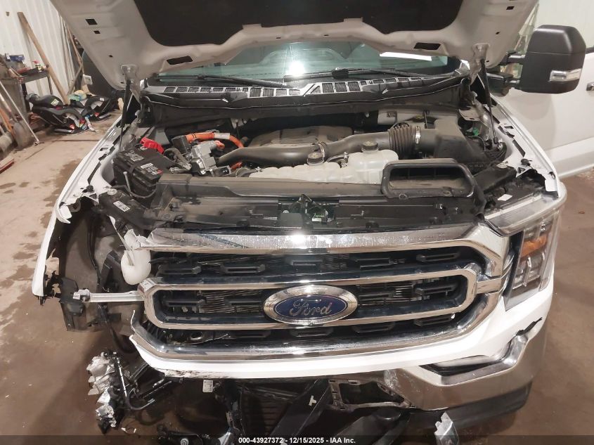 2023 Ford F-150 Xlt VIN: 1FTFW1ED1PFD30313 Lot: 43927372