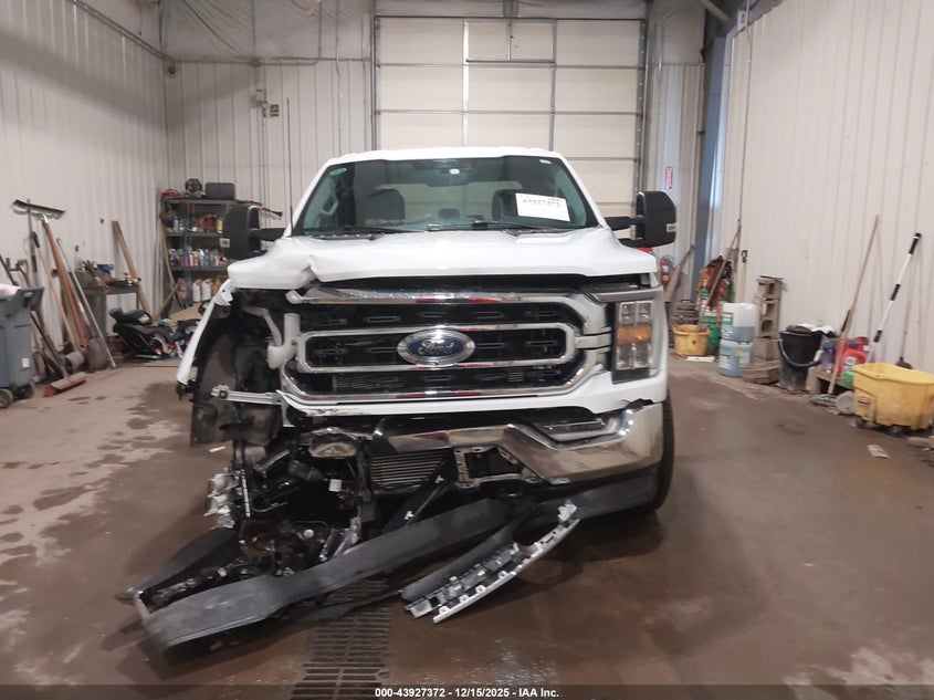 2023 Ford F-150 Xlt VIN: 1FTFW1ED1PFD30313 Lot: 43927372