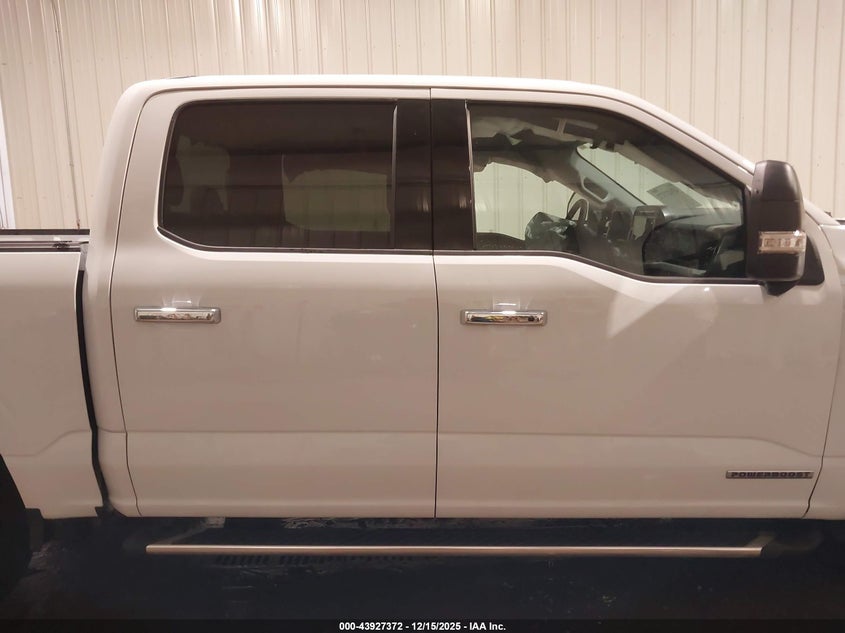 2023 Ford F-150 Xlt VIN: 1FTFW1ED1PFD30313 Lot: 43927372