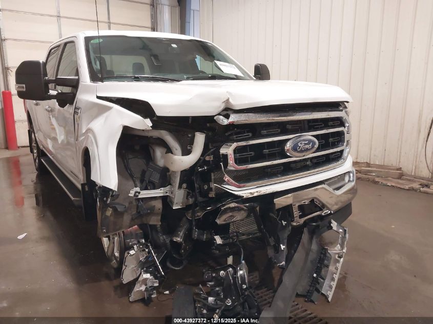 2023 Ford F-150 Xlt VIN: 1FTFW1ED1PFD30313 Lot: 43927372