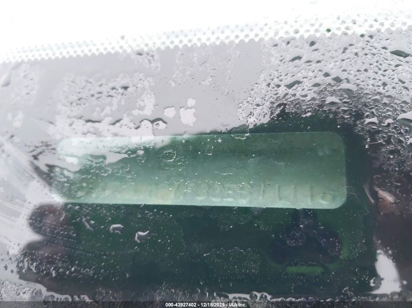 2003 Ford F-250 Lariat/Xl/Xlt VIN: 1FTNX21F33EB11116 Lot: 43927402