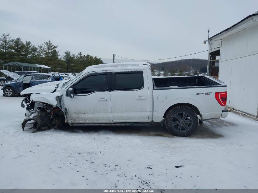 2022 Ford F-150 Xlt VIN: 1FTFW1E58NKD36025 Lot: 43927453