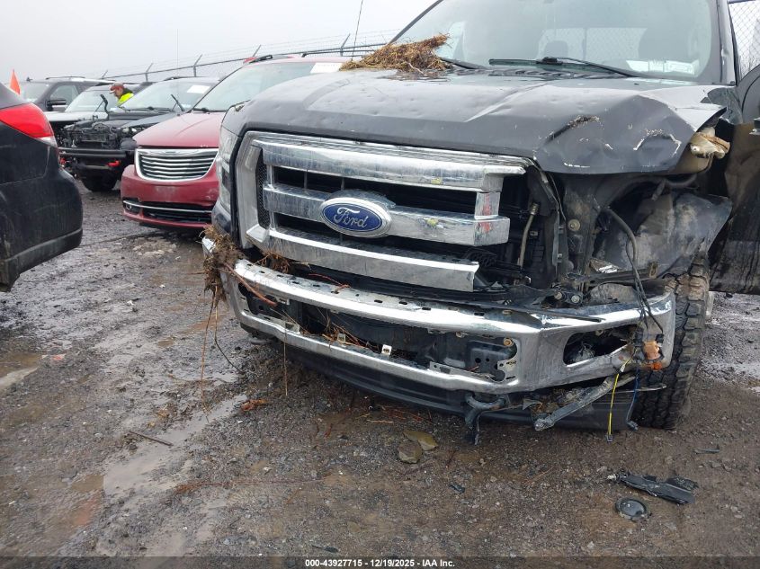 2017 Ford F-150 Xlt VIN: 1FTEW1EF3HKC46807 Lot: 43927715