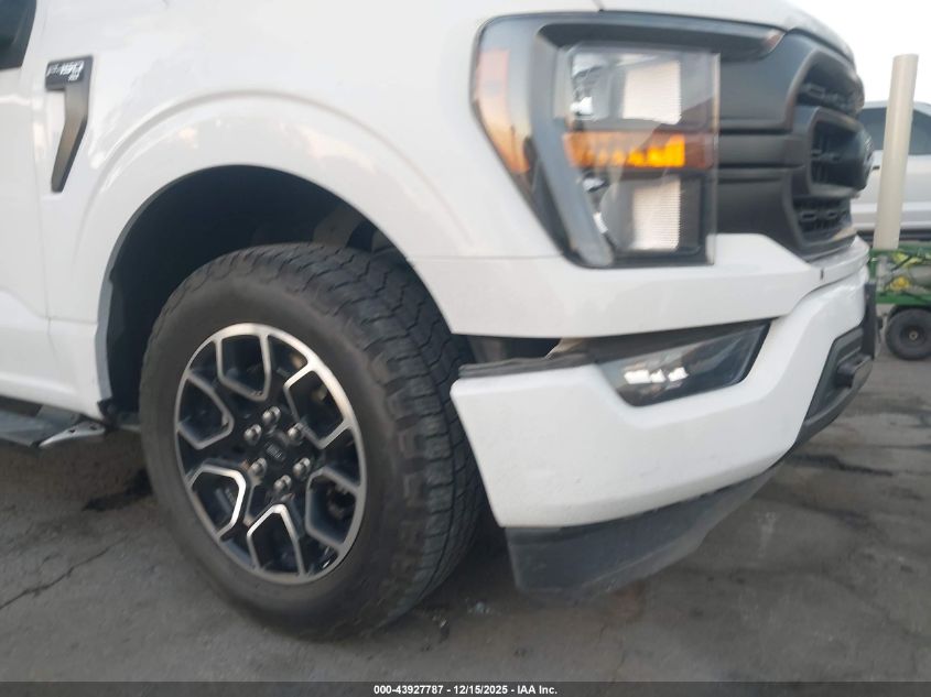 2023 Ford F-150 Xlt VIN: 1FTEX1C82PFA77033 Lot: 43927787