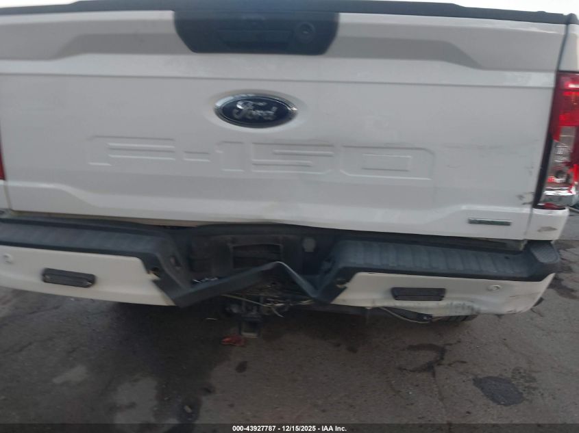 2023 Ford F-150 Xlt VIN: 1FTEX1C82PFA77033 Lot: 43927787