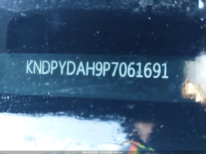 2023 Kia Sportage Plug-In Hybrid X-Line VIN: KNDPYDAH9P7061691 Lot: 43927987