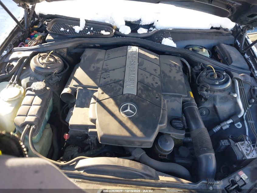 2002 Mercedes-Benz S 500 VIN: WDBNG75J02A245775 Lot: 43928029