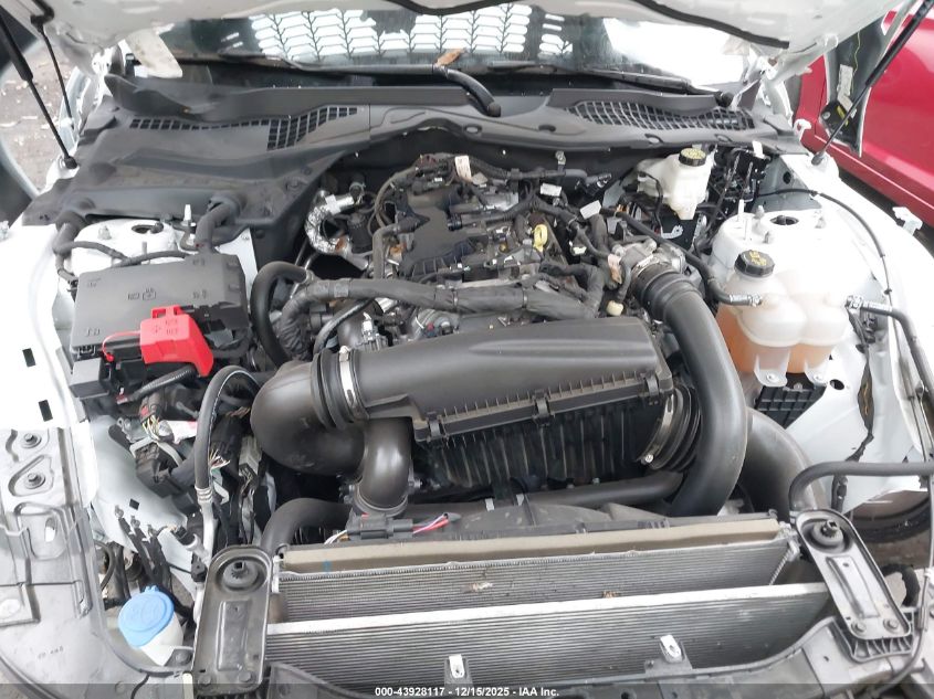 2024 Ford Mustang Ecoboost Fastback VIN: 1FA6P8TH3R5107541 Lot: 43928117