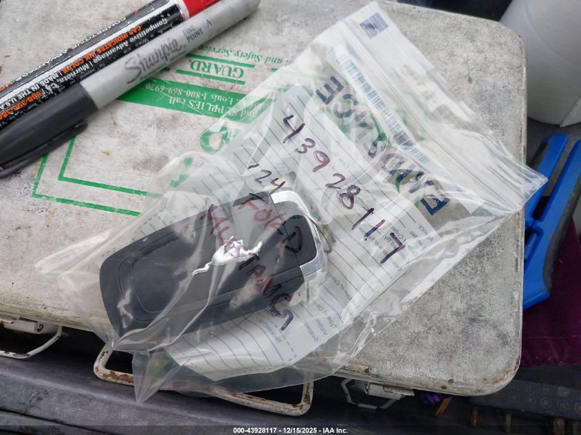 2024 Ford Mustang Ecoboost Fastback VIN: 1FA6P8TH3R5107541 Lot: 43928117