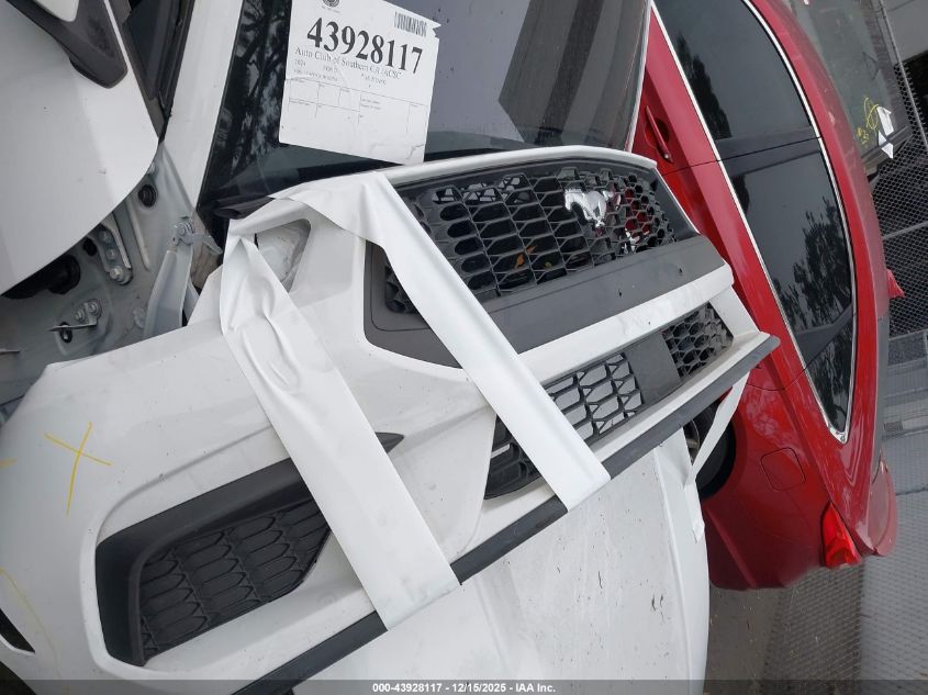 2024 Ford Mustang Ecoboost Fastback VIN: 1FA6P8TH3R5107541 Lot: 43928117