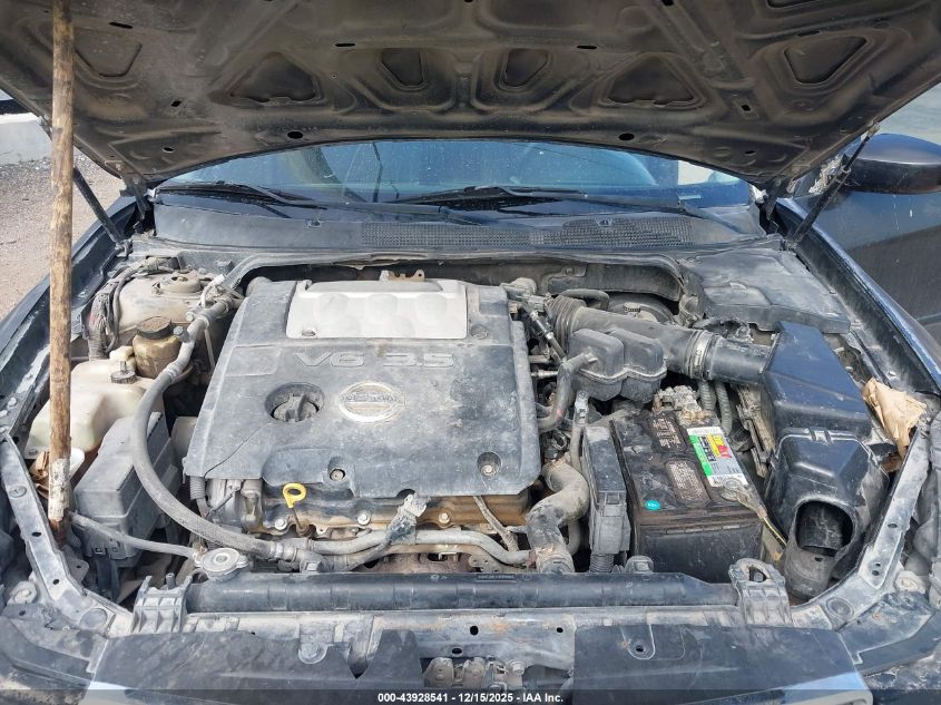 2008 Nissan Maxima 3.5 Se VIN: 1N4BA41E38C803702 Lot: 43928541