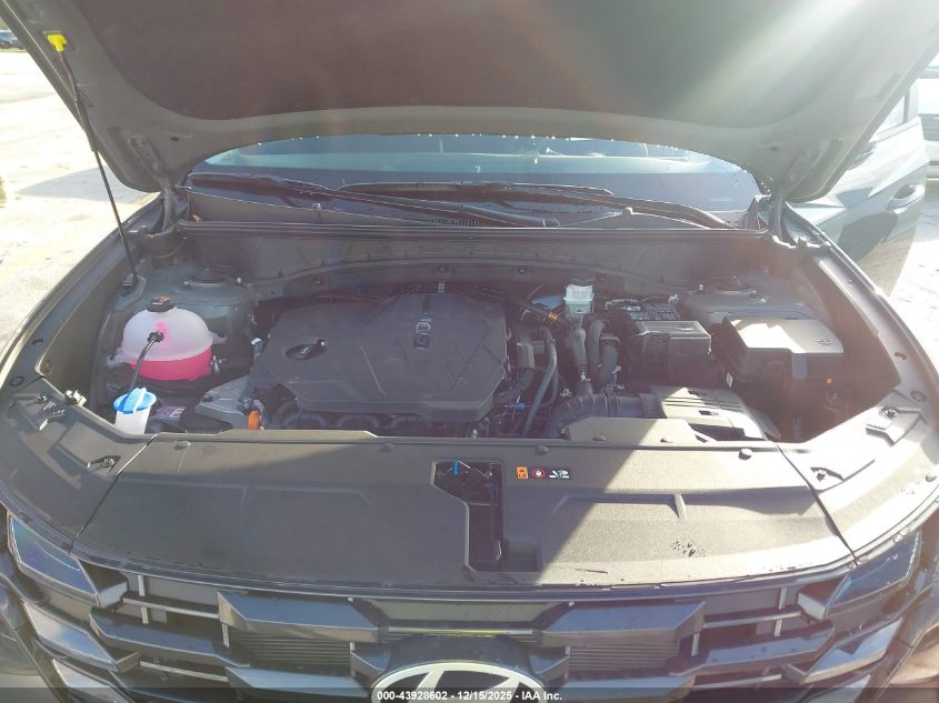 2026 Hyundai Tucson Sel VIN: 5NMJB3DE0TH648979 Lot: 43928602