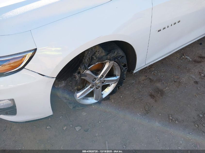 2019 Chevrolet Malibu 1Fl VIN: 1G1ZC5ST1KF139114 Lot: 43928720