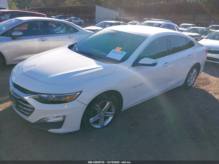 2019 Chevrolet Malibu 1Fl