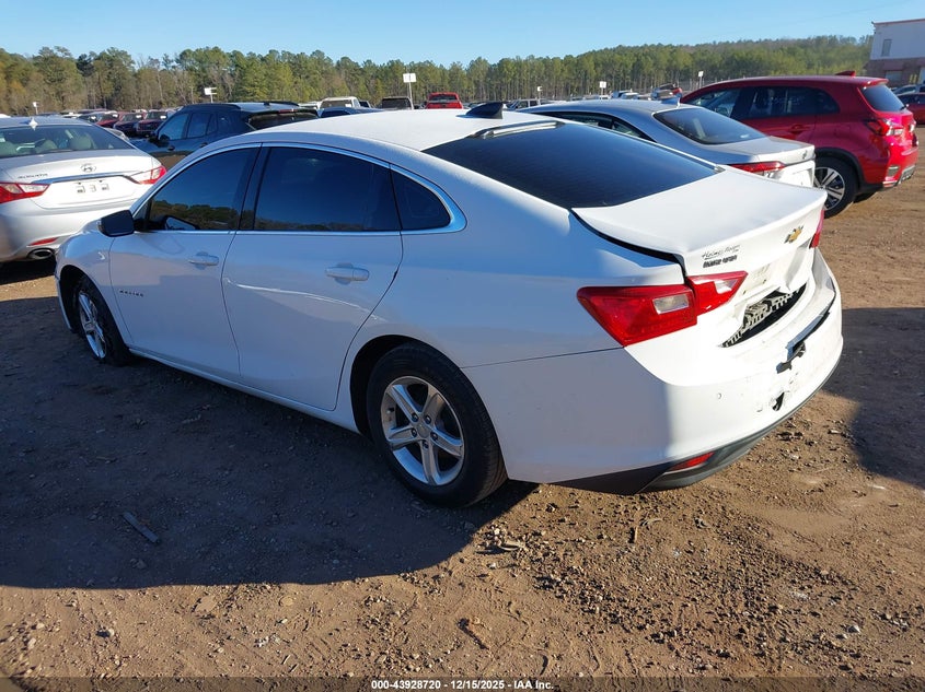 2019 Chevrolet Malibu 1Fl