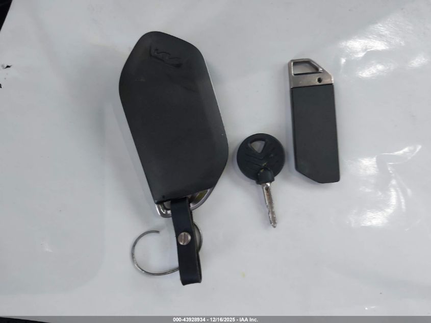 2024 Kia Sorento Ex VIN: 5XYRH4JFXRG285212 Lot: 43928934