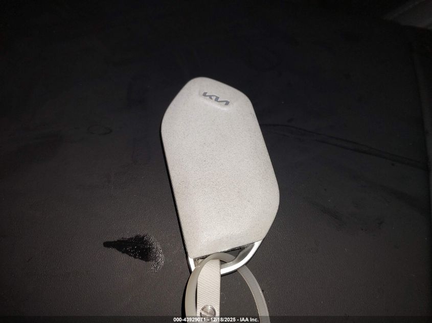 2024 Kia Ev9 Wind VIN: KNDAFFS57R6036406 Lot: 43929071