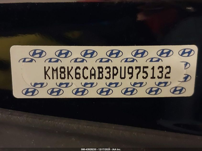 2023 Hyundai Kona Sel VIN: KM8K6CAB3PU975132 Lot: 43929230