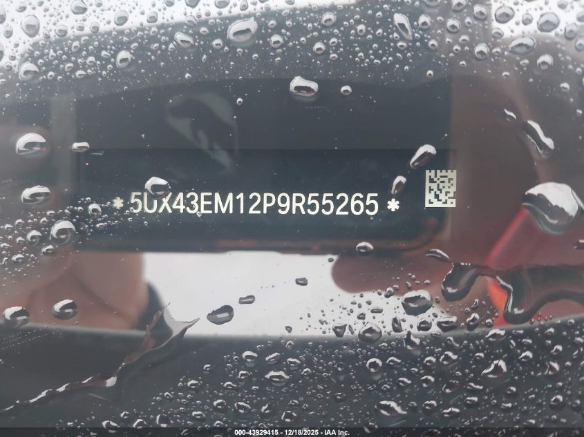 2023 BMW Alpina Xb7 VIN: 5UX43EM12P9R55265 Lot: 43929415