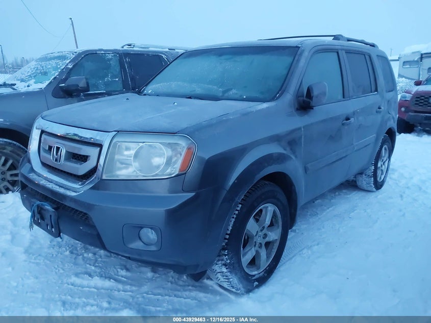 5FNYF4H53BB077877 2011 HONDA PILOT photo no. 2