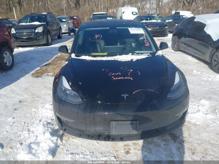 2023 Tesla Model 3 Rear-Wheel Drive VIN: 5YJ3E1EA2PF446992 Lot: 43929608