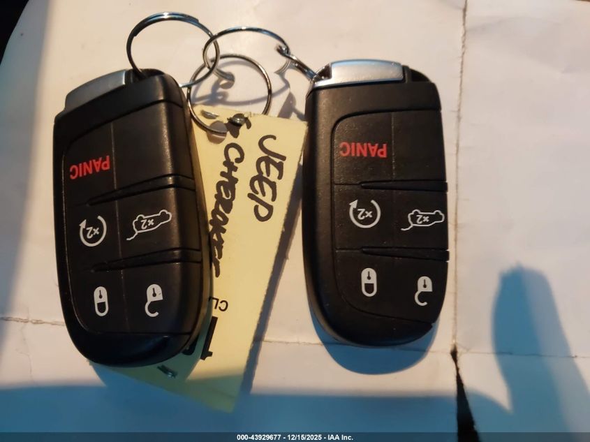 2020 Jeep Grand Cherokee Limited 4X4 VIN: 1C4RJFBG9LC444627 Lot: 43929677