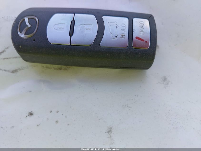 2010 Mazda Cx-9 Grand Touring VIN: JM3TB2MV7A0221497 Lot: 43929725