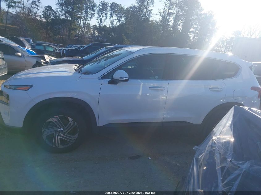 2023 Hyundai Santa Fe Sel VIN: 5NMS2DAJXPH597279 Lot: 43929777