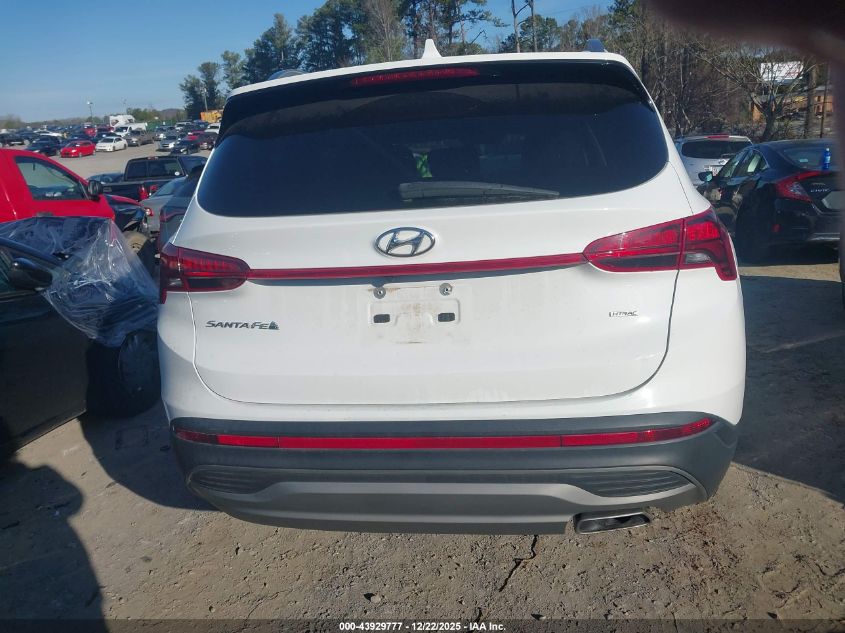 2023 Hyundai Santa Fe Sel VIN: 5NMS2DAJXPH597279 Lot: 43929777