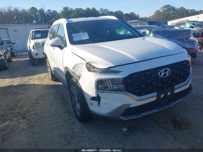 2023 Hyundai Santa Fe Sel VIN: 5NMS2DAJXPH597279 Lot: 43929777
