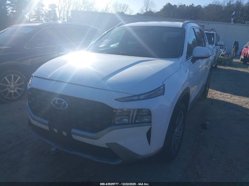 2023 Hyundai Santa Fe Sel VIN: 5NMS2DAJXPH597279 Lot: 43929777
