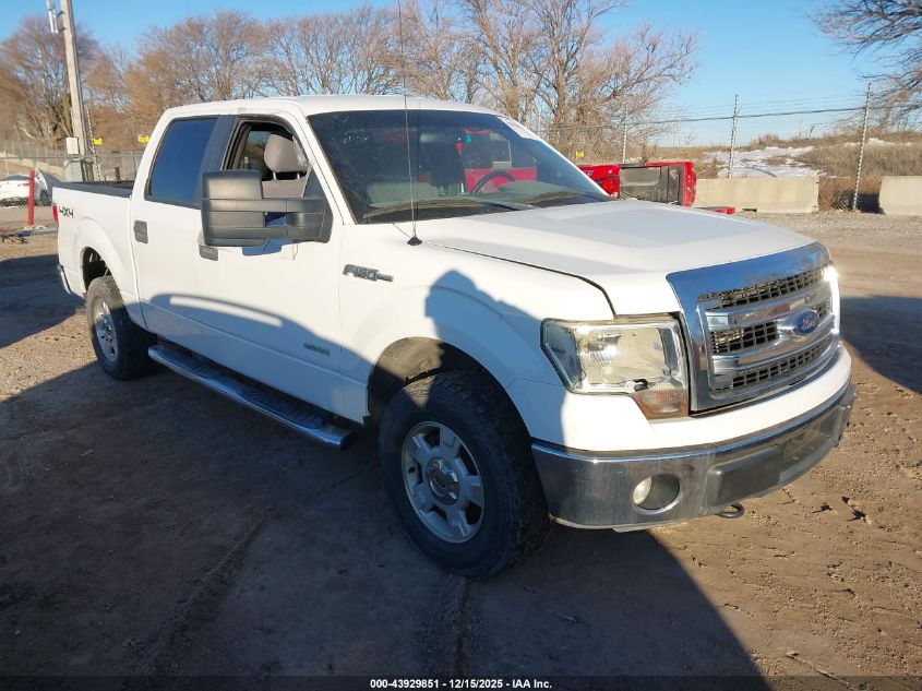 FORD F-150 XLT