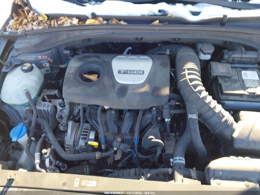 2019 Hyundai Elantra Gt N Line VIN: KMHH55LC3KU102309 Lot: 43929927