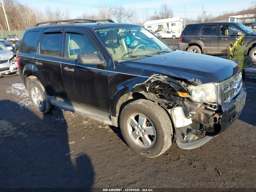 2011 Ford Escape Xlt