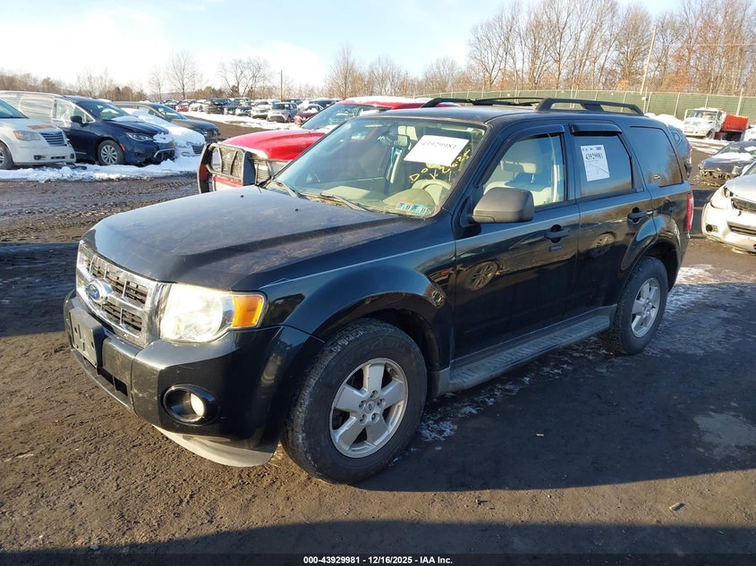 2011 Ford Escape Xlt