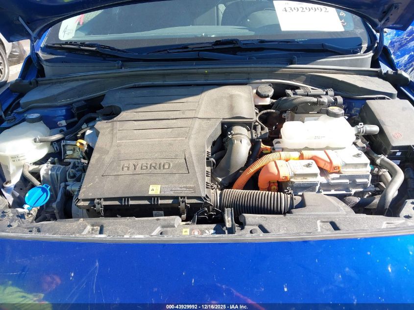 2019 Hyundai Ioniq Hybrid Blue VIN: KMHC65LC5KU113612 Lot: 43929992