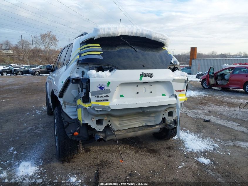 2019 Jeep Cherokee Trailhawk 4X4 VIN: 1C4PJMBX7KD314804 Lot: 43930080