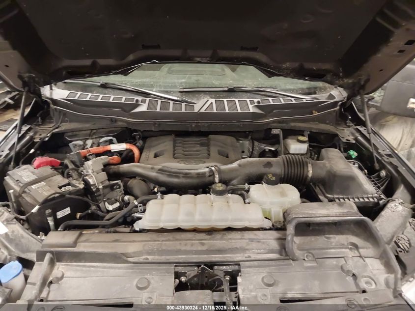 2023 Ford F-150 Xlt VIN: 1FTFW1ED6PFC58542 Lot: 43930324