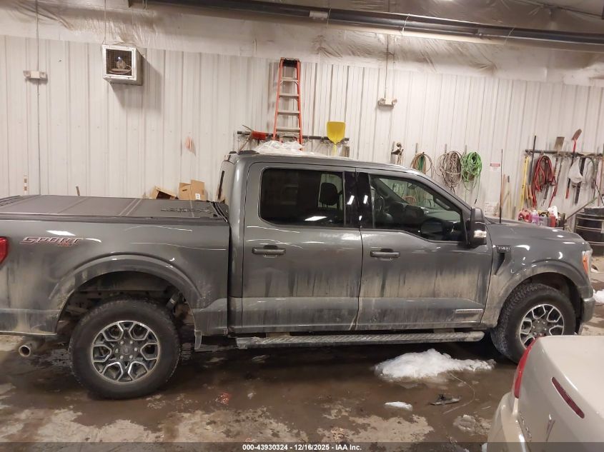 2023 Ford F-150 Xlt VIN: 1FTFW1ED6PFC58542 Lot: 43930324